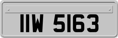 IIW5163