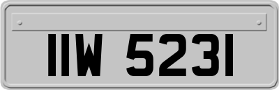 IIW5231