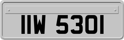 IIW5301
