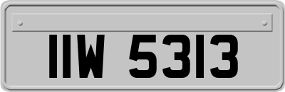 IIW5313