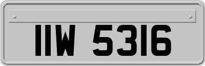 IIW5316