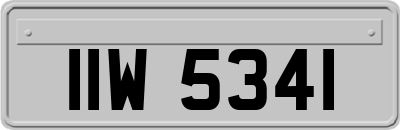 IIW5341