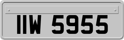 IIW5955