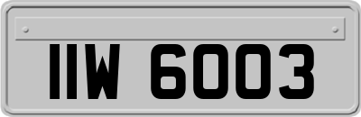 IIW6003