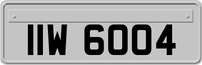 IIW6004