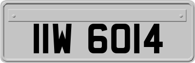 IIW6014