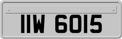 IIW6015