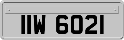 IIW6021