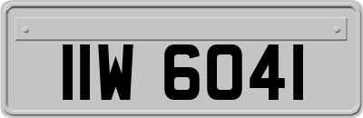 IIW6041