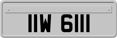 IIW6111