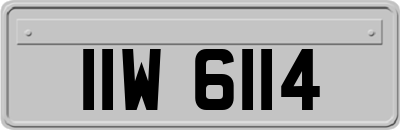 IIW6114
