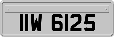 IIW6125