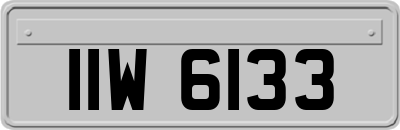 IIW6133