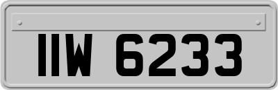 IIW6233