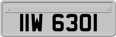 IIW6301