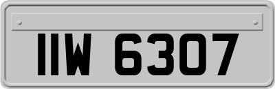 IIW6307