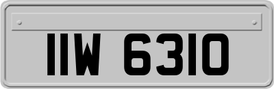 IIW6310