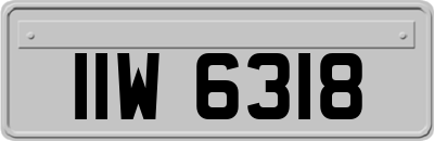 IIW6318