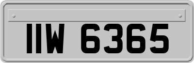 IIW6365