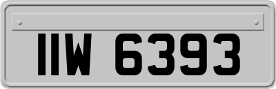 IIW6393