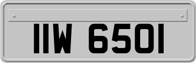 IIW6501