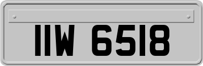 IIW6518