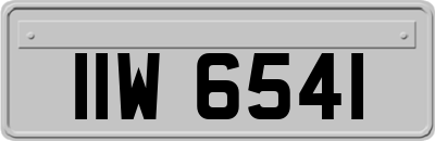IIW6541