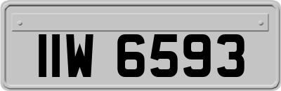 IIW6593