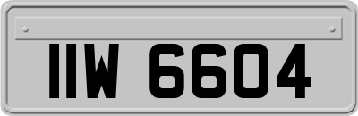 IIW6604