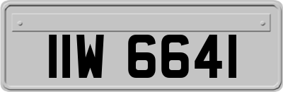 IIW6641