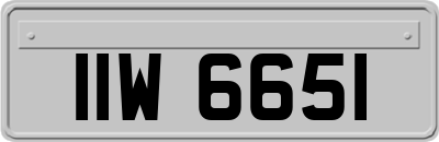IIW6651