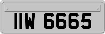 IIW6665