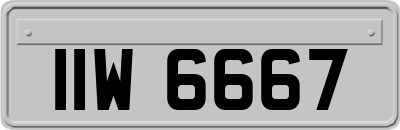 IIW6667