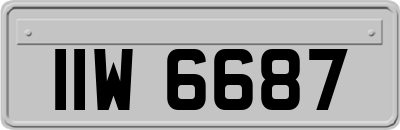 IIW6687