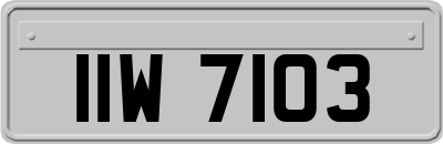 IIW7103