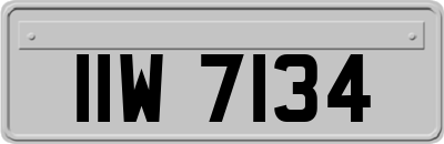 IIW7134