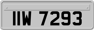 IIW7293