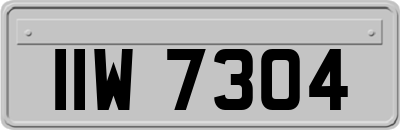 IIW7304