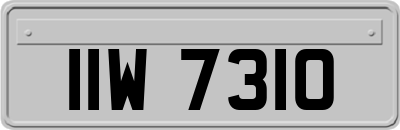 IIW7310