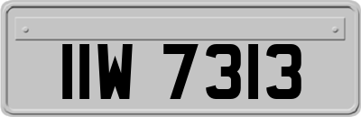 IIW7313