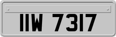IIW7317