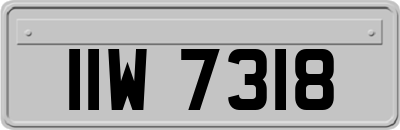 IIW7318