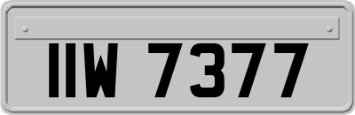 IIW7377
