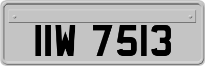IIW7513