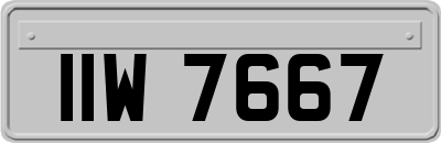 IIW7667