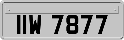 IIW7877