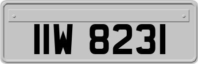 IIW8231