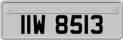 IIW8513