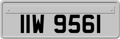 IIW9561