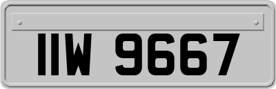 IIW9667